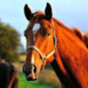 Meet your Posher, Cienna